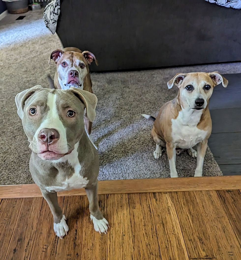 M, E, & T