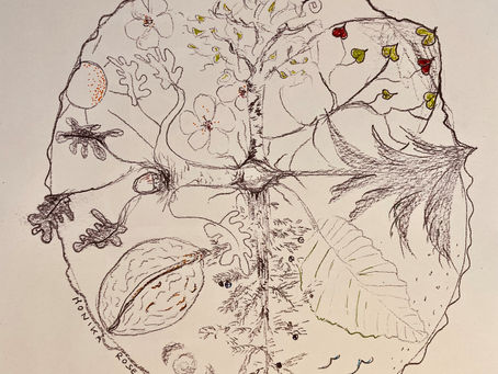 Ein Baum trägt Früchte ohne zu wissen wer sie isst!