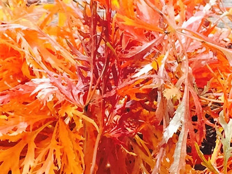 Man sieht nur das, was man ist. 