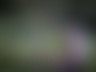 Verbindung mit den Elementen im Garten - Kleines Gartenritual