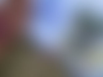 Auf dem Weg zum WildWeisenWeib