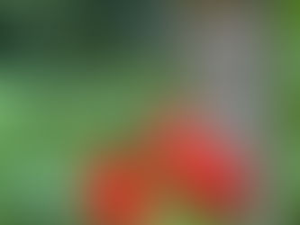 Mut zur Farbe alte Routinen verlassen