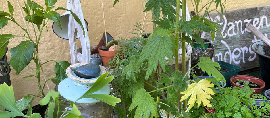 Gartenlabor und Kinderstube