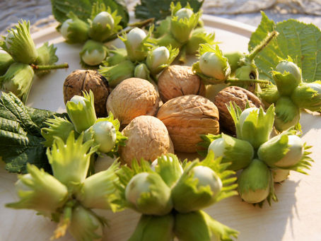 Der Frauendreißiger