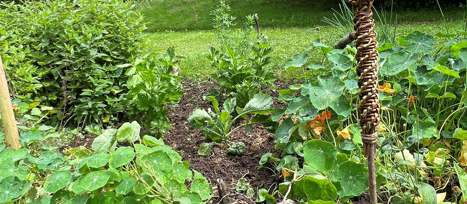 Der August im Garten, in der Küche und was sich sonst so tut