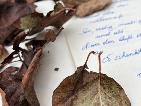 Herbstblätter - Gedankenwind