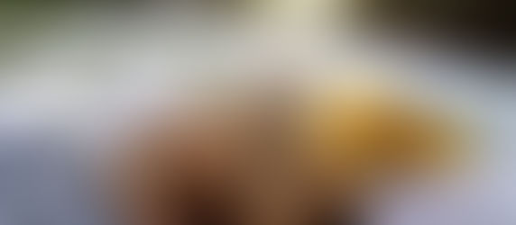 Vom Weibermonat Februar, Küchenmagie und der Hl. Agatha