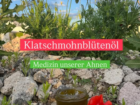 Klatschmohnroter Junimorgen