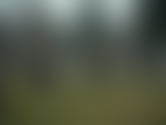 Restoring Memory: Join Us in Saving Our Cemeteries