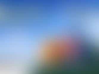 Copa Airlines Baggage Fees Explained for International Travelers