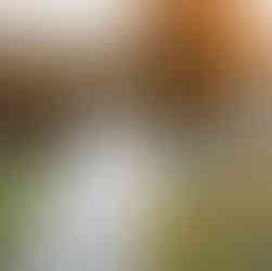 Українська акторка Наталка Денисенко у повітряній білій сукні REPULO’S Diva з плісированими елемента