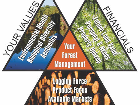 North Carolina Forest Management Plans: is yours tailored to your needs?