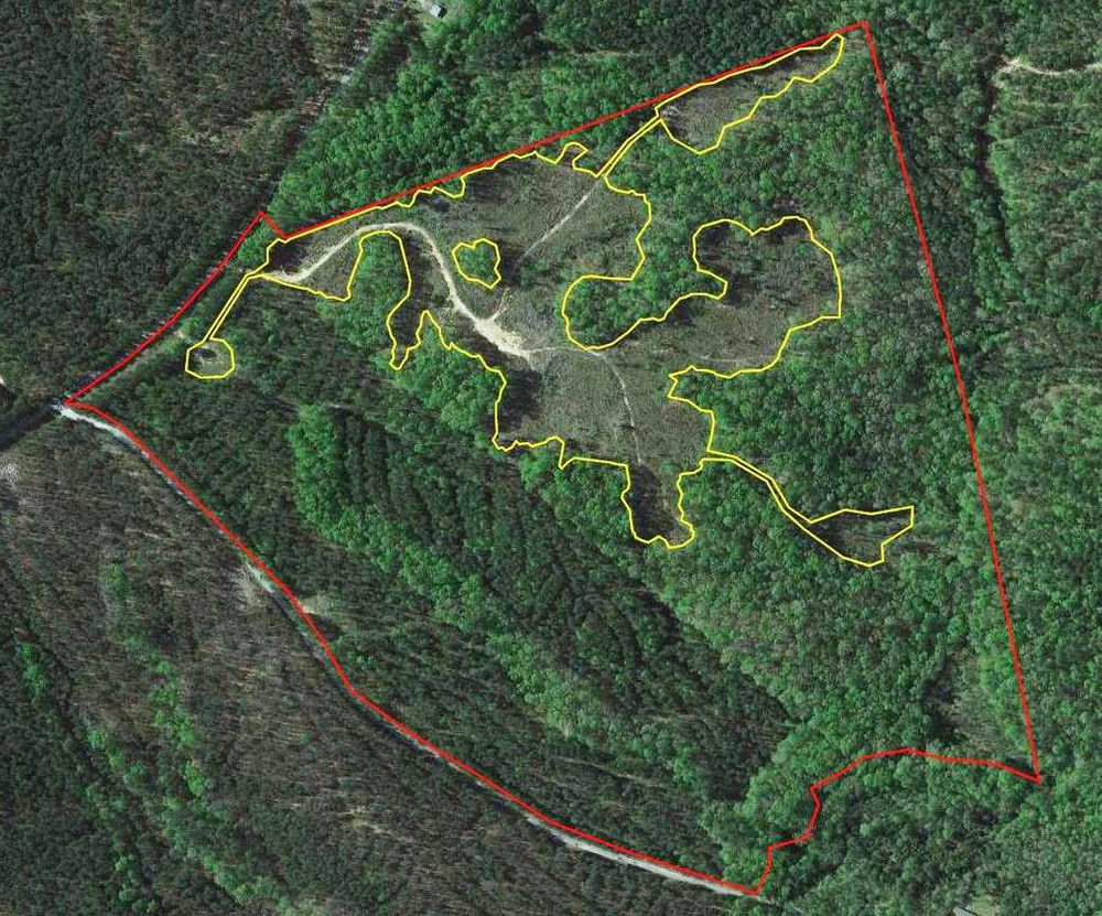 Getting an Edge on Your Wildlife Habitat