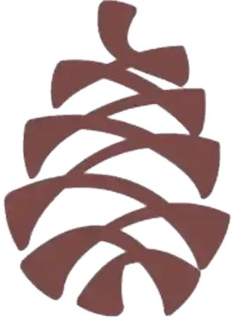 Bristol Point Logo Icon