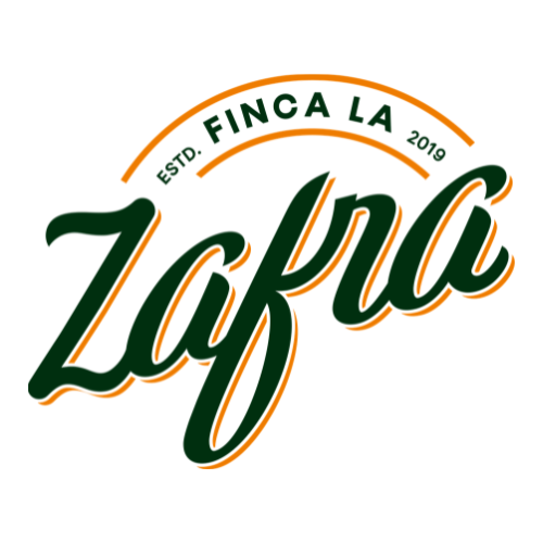 Logo2.png