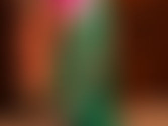 Surprise 65th Birthday Party!