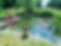 weir 2.jpg