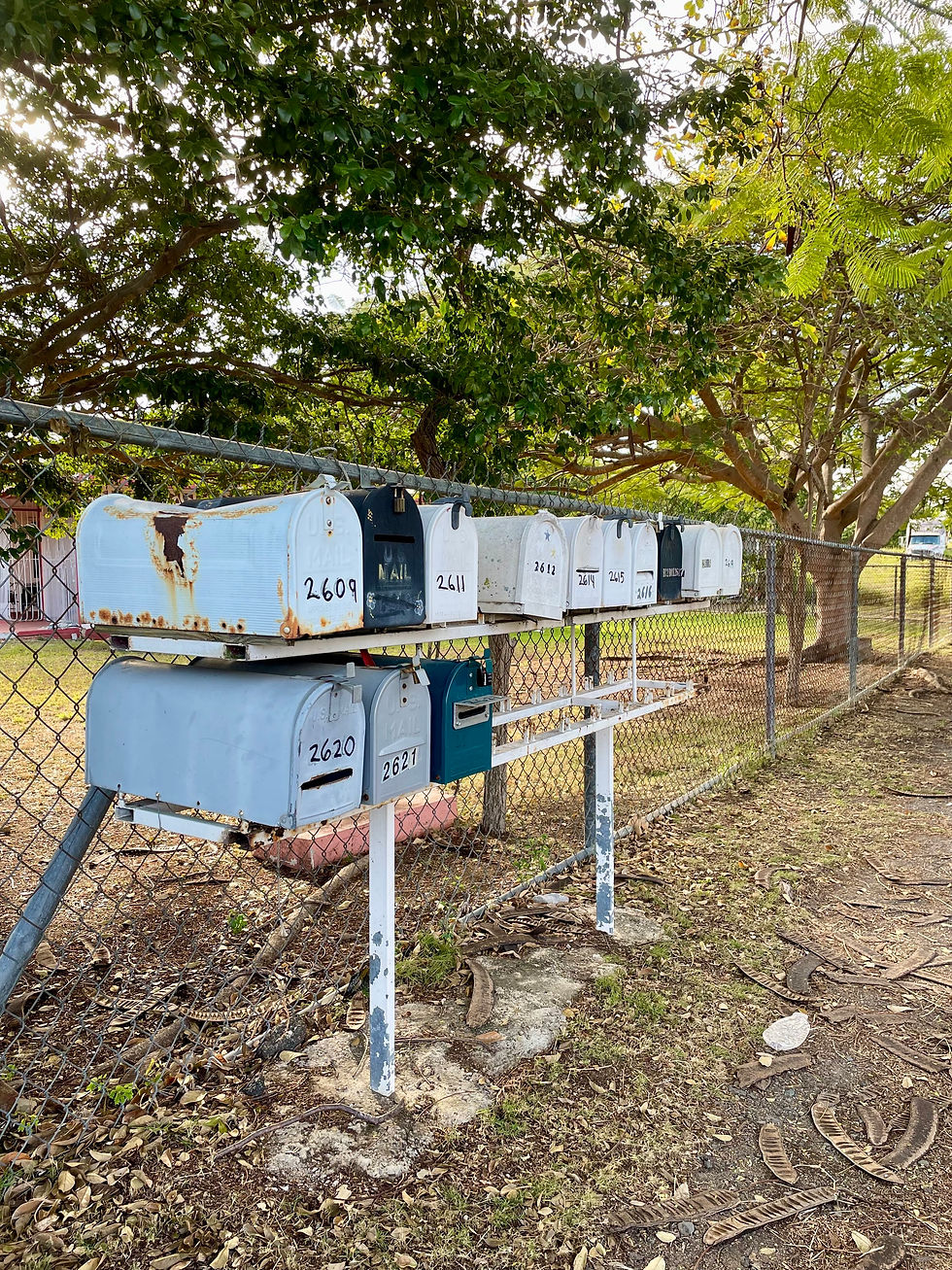Koniecznie musisz to zobaczyć!
Tygodniowy plan wyjazdu +atrakcje w Portoryko