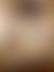 Marie Antoinettes bedroom is at the end of the Hall of Mirrors.