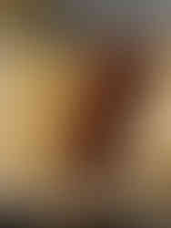 Chicken and Beef Souvlaki Platter with freshly baked bread and fries.