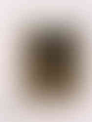 "Saint Jean Baptiste" by Leonardo da Vinci.