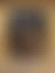 "A woman of the court in Milan" Painting by Leonardo da Vinci.