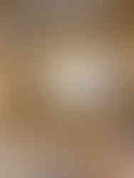 Intimate, luxurious Rococo and Neoclassical style decor chamber for Marie Antoinette.