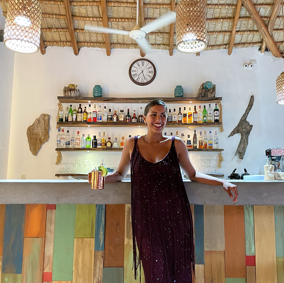 Bars in Dominican Republic, nightlife and lodging.