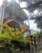 Beautiful houses in the Garden District Nola.