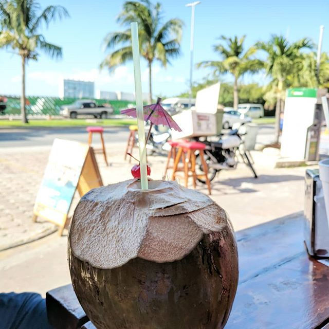Fresh coconuts in Mexico. Travel guide for north America.