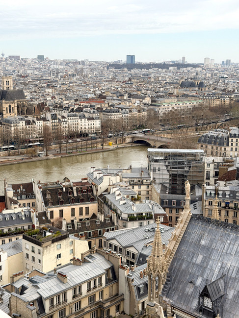 city of Paris view with the Seine River.