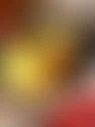 Casserole dish featuring beef bourguignon with carrots and potatoes.