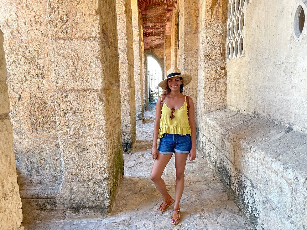 Cheap Things to do in Santo Domingo: La Zona