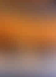 Freshly baked croissants and Pan au Chocolat