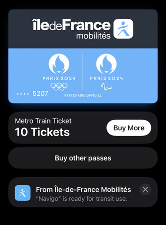 10 ticket metro pass for ice de France Mobilites.