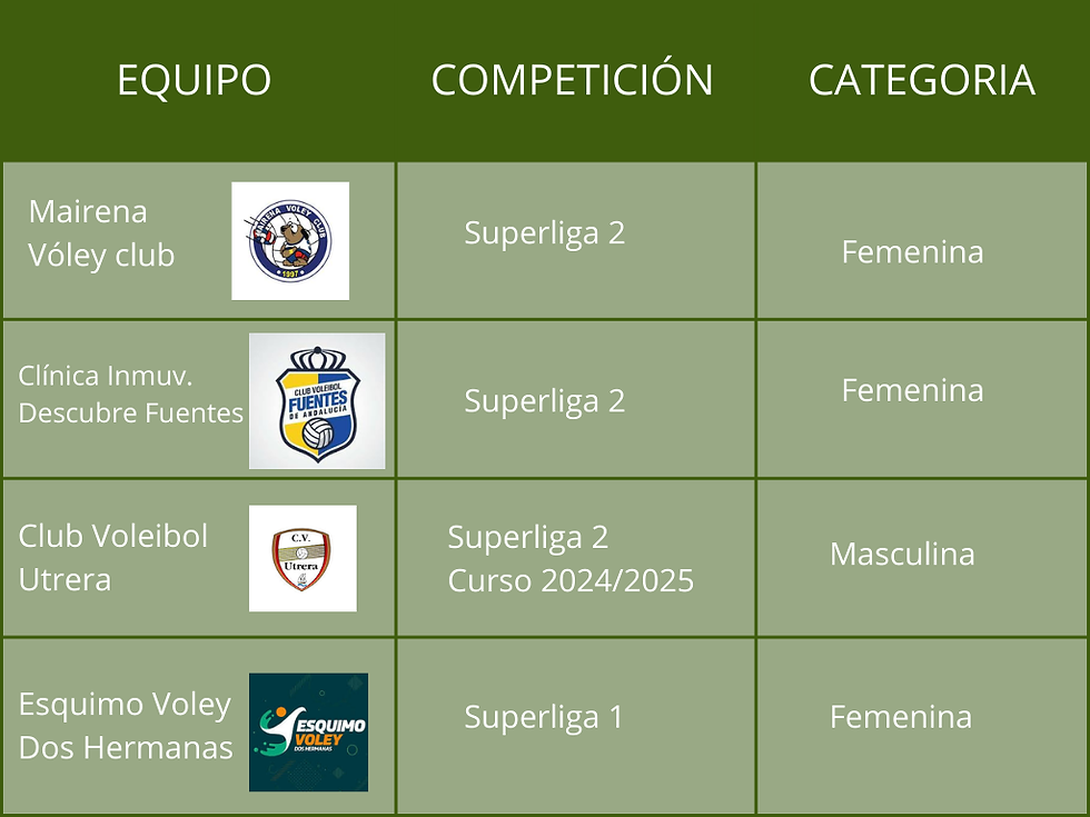 Tabla con la clasificación de equipos de voleibol de Sevilla.