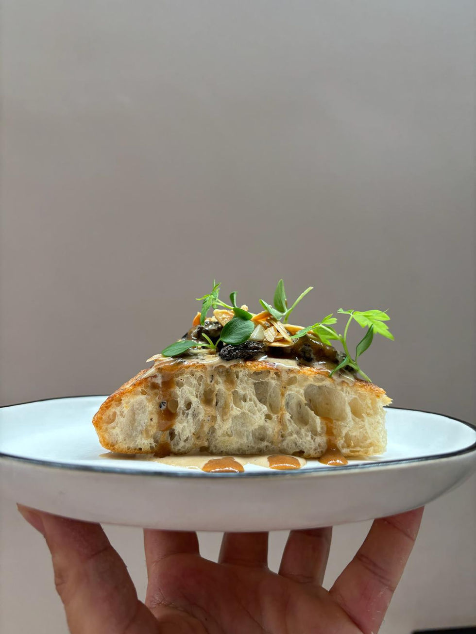 Imaxe de WhatsApp 2026-02-14 ás 17.22.38 (1).jpeg