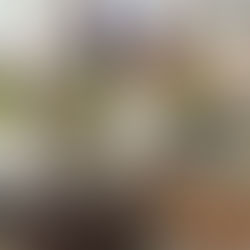 高齢者施設でお花体験