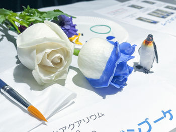 ウェルビーイング体験イベント「花とハーブとアクアリウム」に潜入調査!