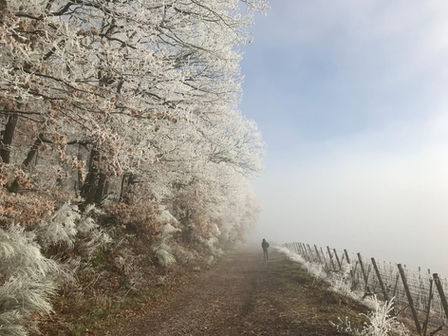 Christmas Time: What Does It Truly Mean to You?