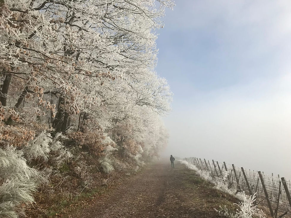 Christmas Time: What Does It Truly Mean to You?