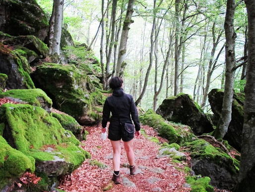 Rediscovering the Magic: Where Did Our Inner Child Go?