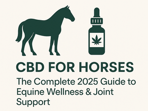 ⭐CBD for Horses: The Complete 2025 Guide to Equine Wellness, Joint Support & Natural Balance