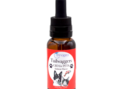 Pet CBD oil bottle for dogs beside a human CBD oil comparison checklist