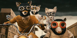 Fantastic Mr. Fox (2009)