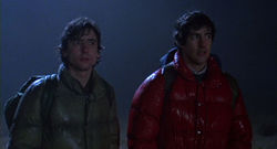 An American Werewolf in London (1081