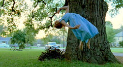 The Tree of Life (2011)
