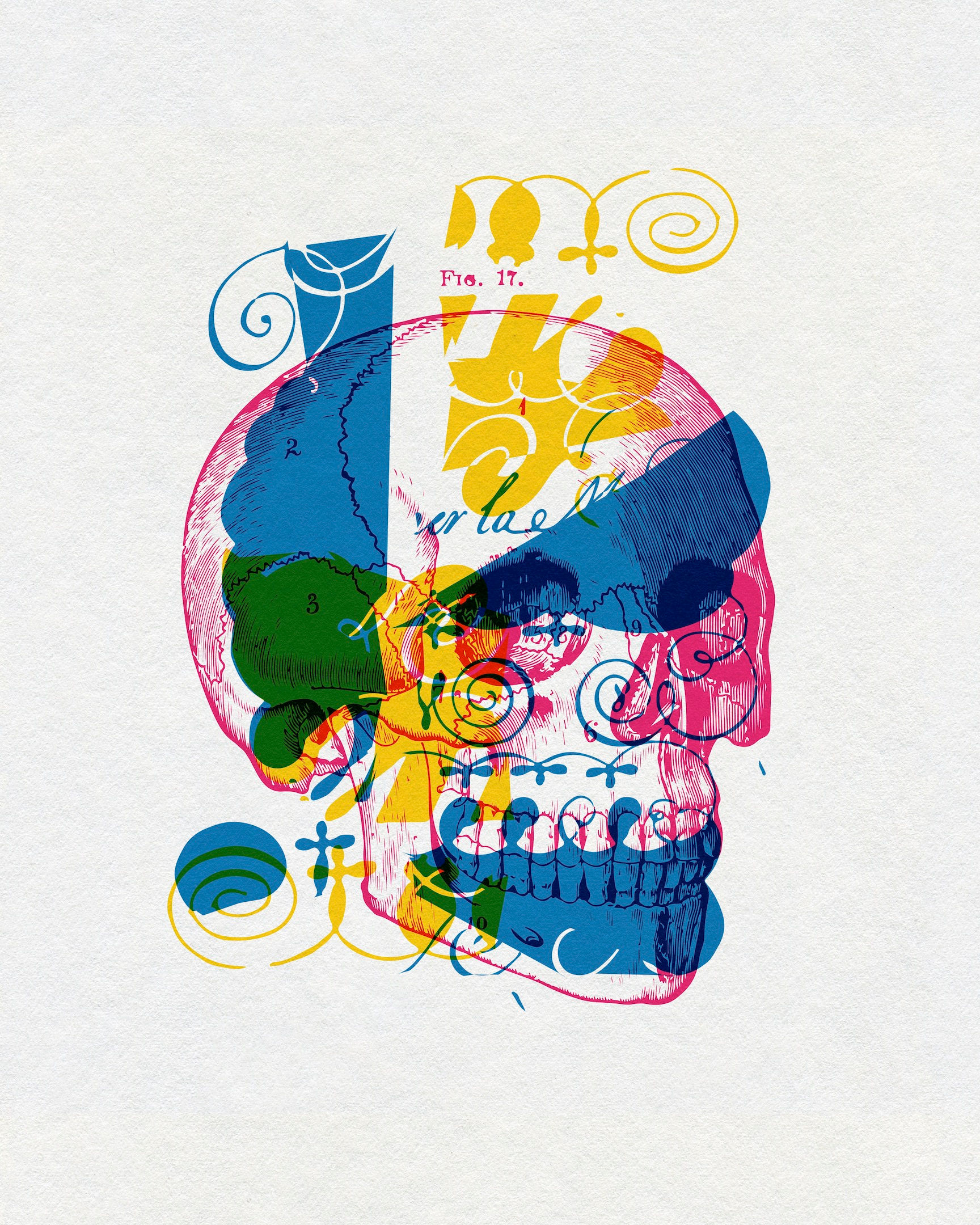 Colorful graphic skull artwork combining portrait imagery, patterns and layered marks by Chris Ferebee