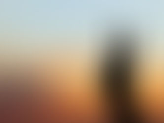 Open letter calling on the Home Secretary and Chair of the National Police Chiefs’ Council to withdraw police guidance on naming suspects’ ethnicity and nationality