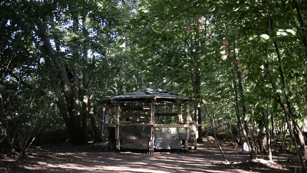 3wd bar_compressed 16mb.gif